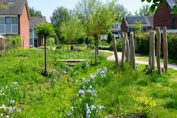 Wadi's voor klimaatverandering