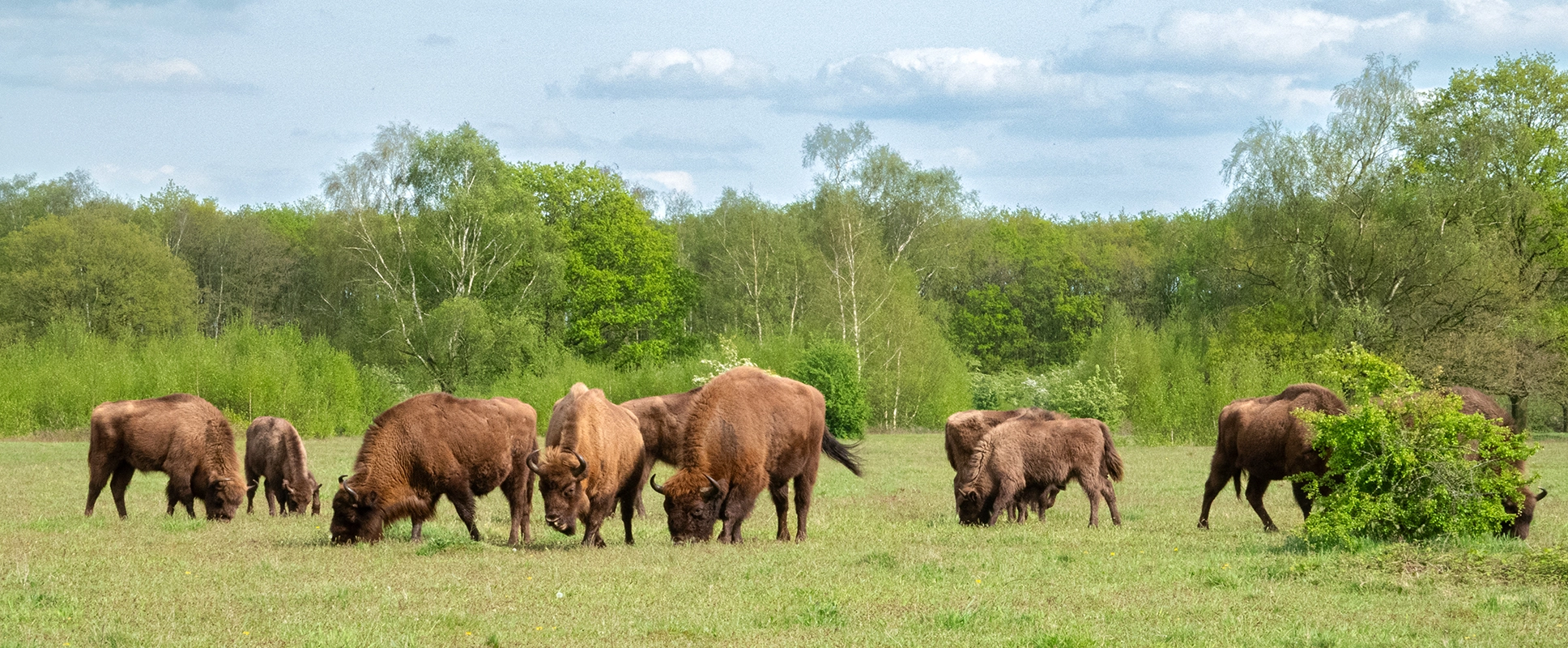 Wisselfoto foto_1765286135.webp