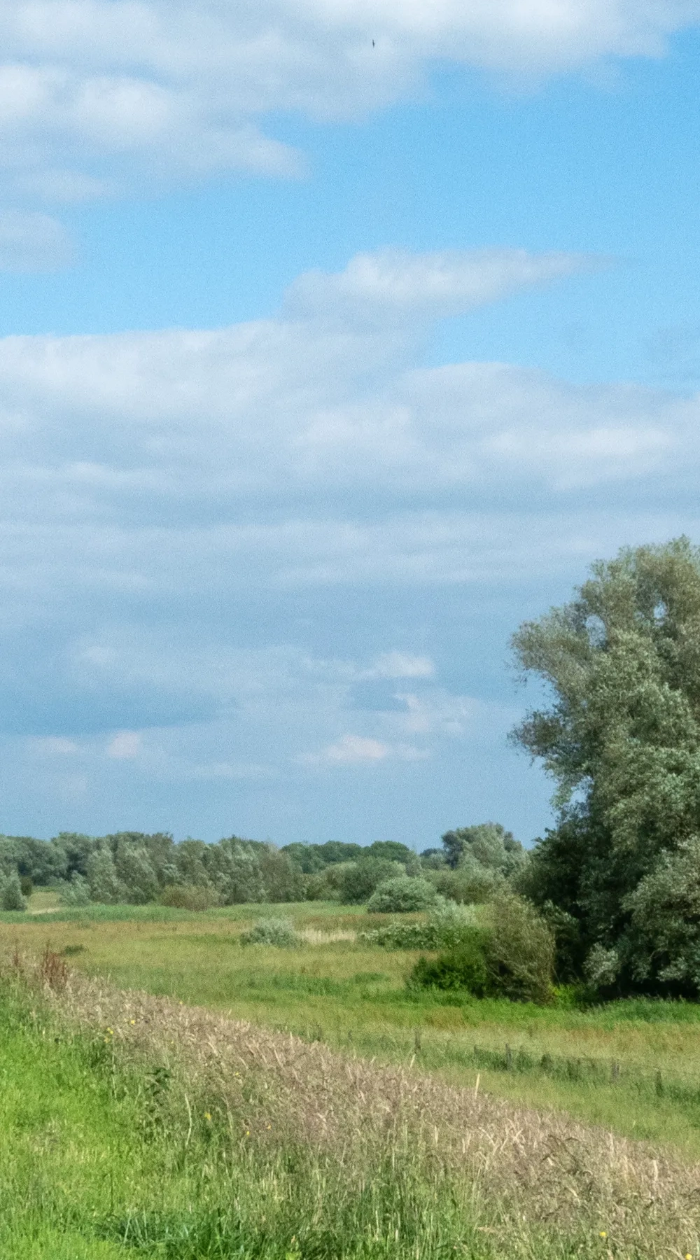 Wisselfoto foto_1762773521.webp