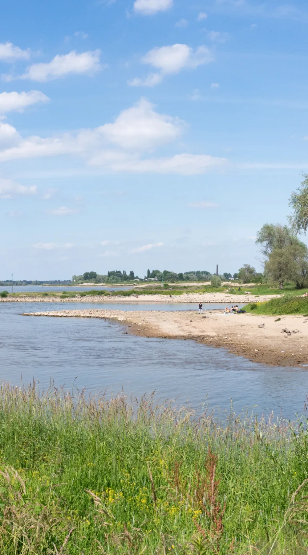 Wisselfoto foto_1762773522.webp